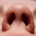 120px-human_nostrils_01