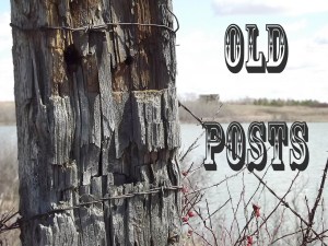 Old Posts